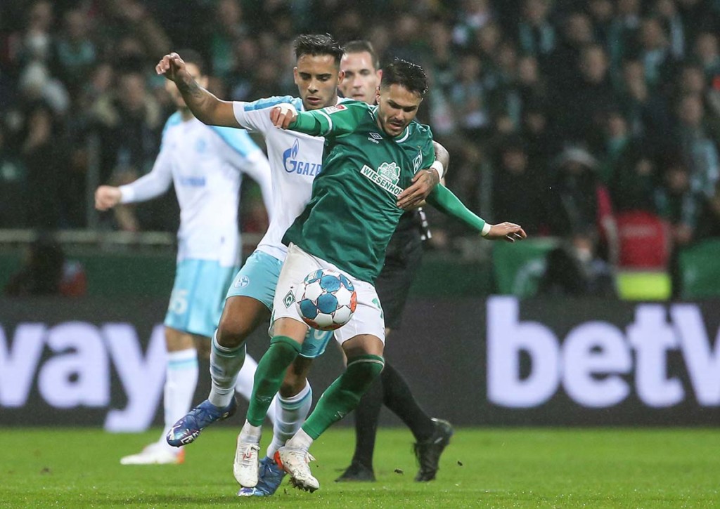 Schalke Werder Bremen Tipp