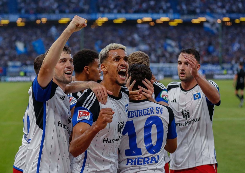 Karlsruhe HSV Tipp