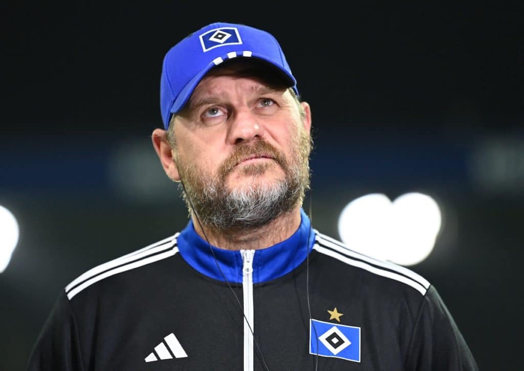 HSV Schalke Tipp